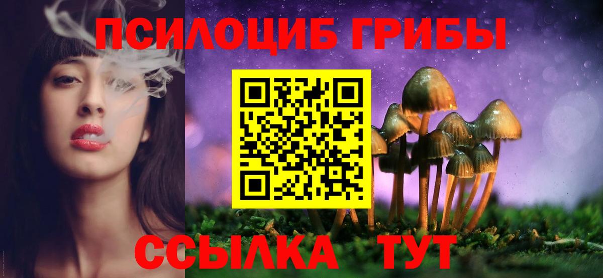 Галлюциногенные грибы мицелий Кузнецк