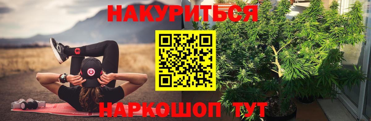 Канабис Кузнецк